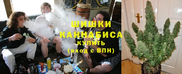 ешки Надым