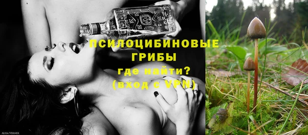 ешки Надым