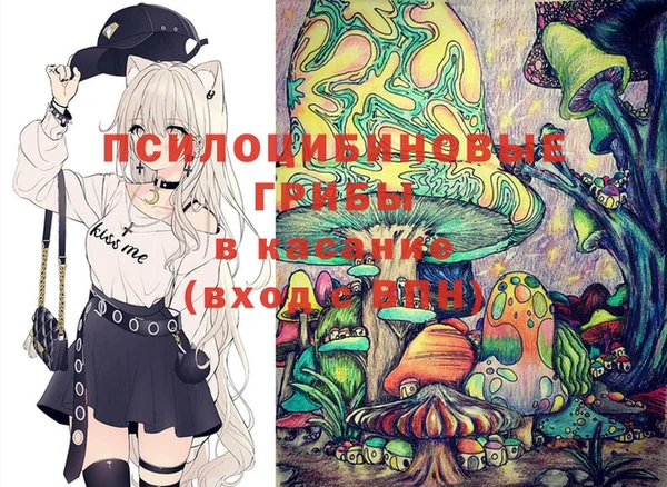 ешки Надым
